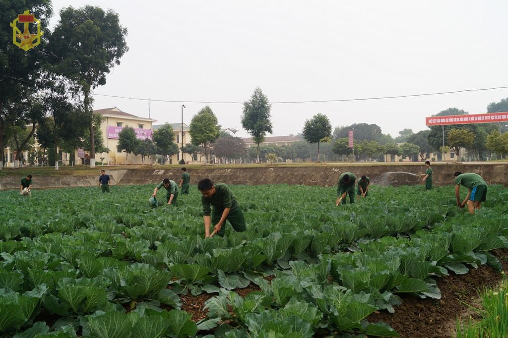 Tăng gia sản xuất góp phần nâng cao đời sống bộ đội tại Trường Sĩ quan Phòng hóa