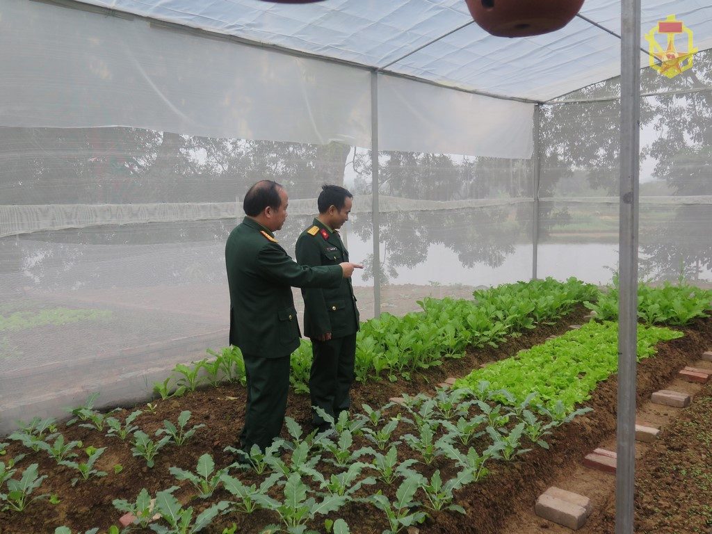 Mô hình tăng gia sản xuất tại Trường Sĩ quan Phòng hóa