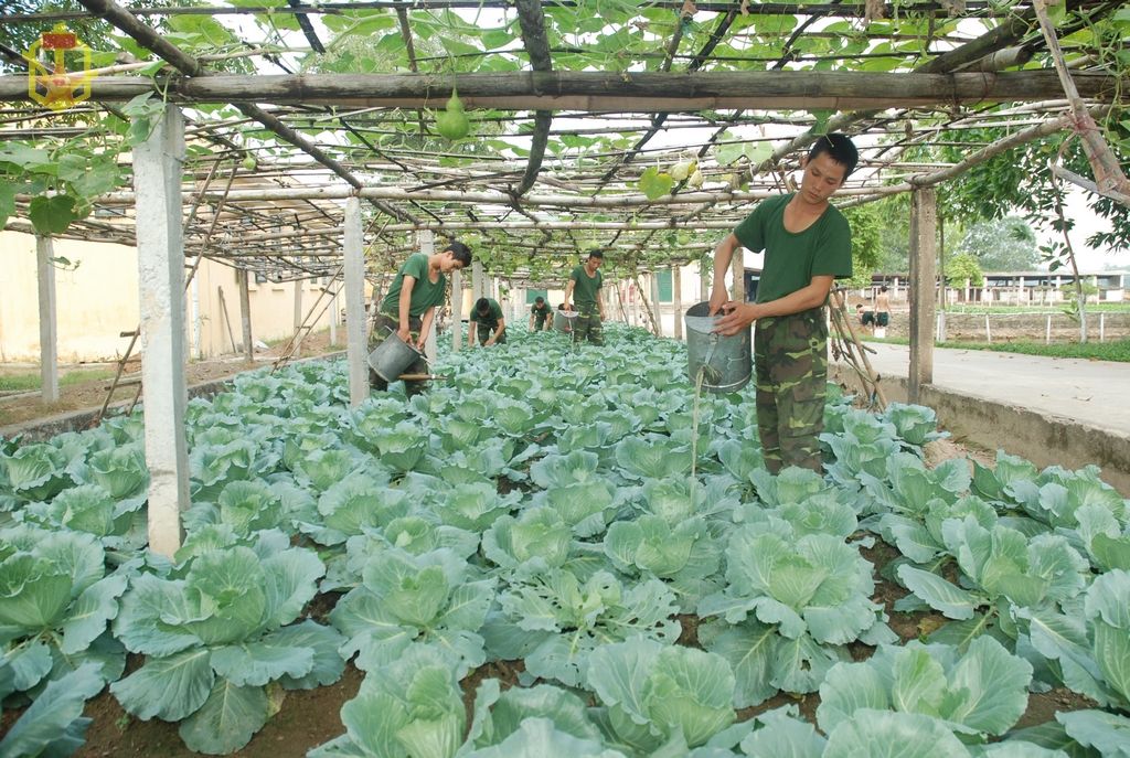 Một số kết quả nổi bật trong phong trào thi đua “Ngành Hậu cần Quân đội làm theo lời Bác Hồ dạy” 6 tháng đầu năm 2016 của Binh chủng Hóa học