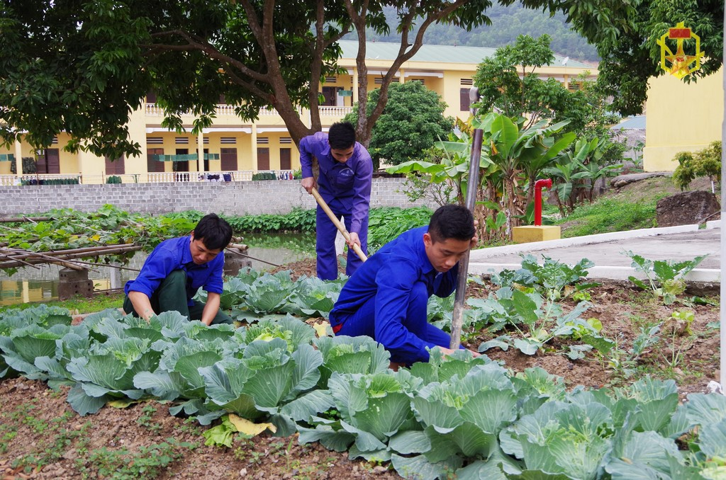 Vượt khó tăng gia ở một Kho Hóa học